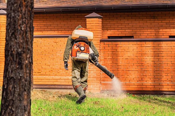 Trusted Emergency Pest Control service in Mayflower Village, CA - Nex Pest Control